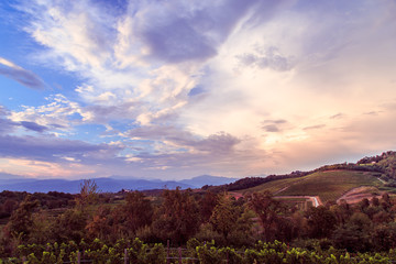Obraz premium Sunset in the vineyards of Rosazzo after the storm