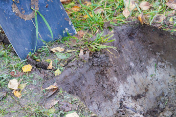 Man digging a ditch with a shovel in autumn