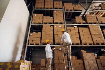 Senior worker using tablet and watching younger worker on ladders. Storage interior.