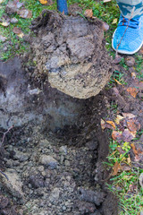 Man digging a ditch with a shovel in autumn