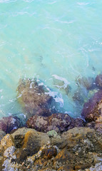 Beautiful shores of Greece in summer