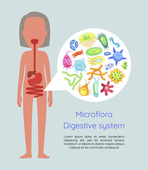 Microflora Digestive System Vector Illustration