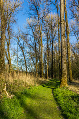 Beautiful view on the danube island near Windorf - Bavaria