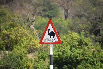 Strassenschield Kamele