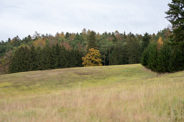 Herbsliche Landschaft in Bayern Hallertau