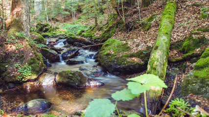 Beautiful view near Zwieslerwaldhaus-Bavaria-Germany