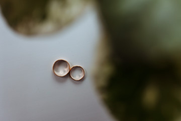 water drops on a leaf