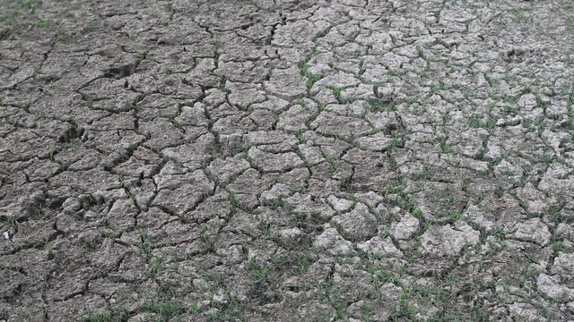 Soil cracked and dry by erosion