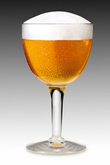 GLASS OF BEER