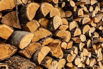 Wood logs pile pattern texture