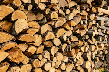 Wood logs pile pattern texture