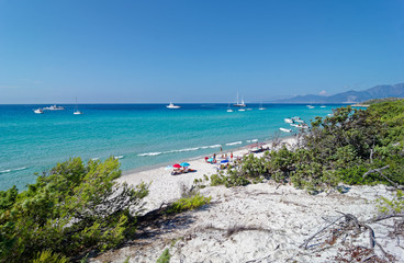 Fototapeta na wymiar Saleccia beach in Corsica island