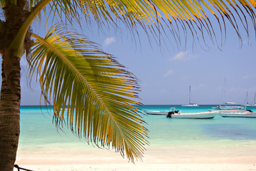 Naklejka premium Dominicana beach