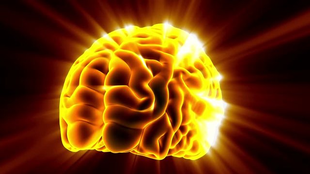 Loop science anatomy scan of human brain glowing with yellow