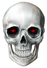 Skull on a white background