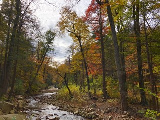 Fototapeta premium Autumn scene in Minnewaska State Park Preserve in New York