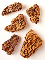 JUMBO MOREL MUSHROOMS