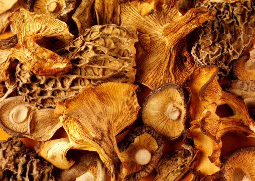 ASSORTED DRIED MUSHROOMS