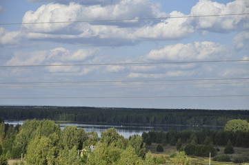 цветы