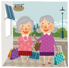 Two elderly woman arriving home from shopping
