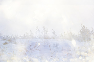 winter abstract shiny background