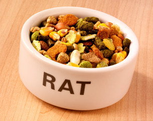 RAT FOOD
