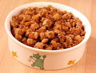 CAT FOOD