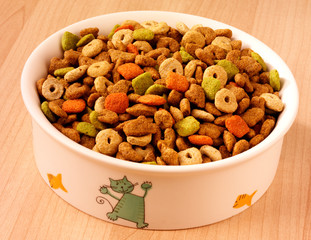 DRIED CAT FOOD