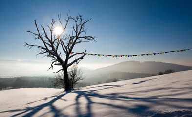 Fototapeta na wymiar Winterlandschaft mit einzelnem Baum an dem eine tibetischer Gebetsfahne hängt 