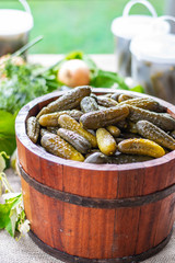 Preserved pickled cucumbers with dill and  onions in a wooden barrel