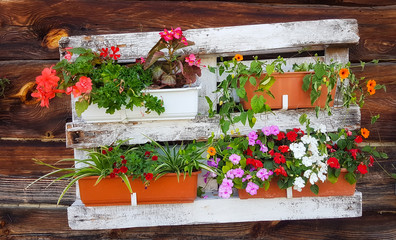 Fototapeta na wymiar rustic wall with beautyfull flowers