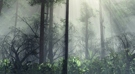 forest in the fog, rays of light in the forest,