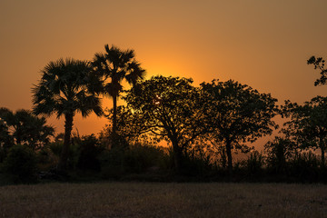Kambodscha - Sonnenuntergang in Siem Reap