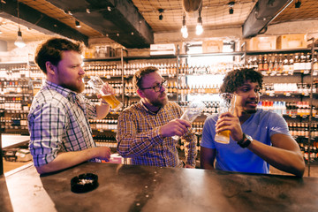 Friends sitting at bar and drinking beer.