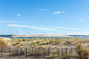 Obraz premium CAP FERRET (Bassin d'Arcachon, France), vue sur la dune du Pilat