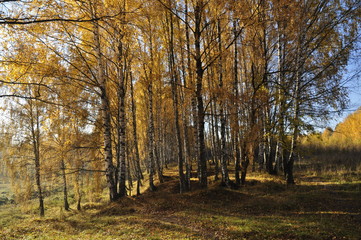 осень