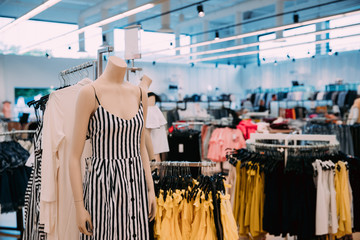 Mannequin Dressed In Female Casual Dress And Clothes On Shelves 