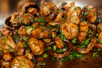 Grilled champignons mushrooms with parsley