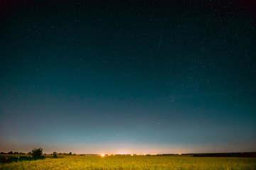 Night Starry Sky Above Summer Field Meadow With Blooming Rapesee