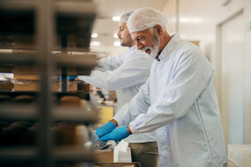 Workers packing cookies in boxes while standing in food factory. - Powered by Adobe