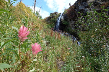 Landscapes of the Pacific Northwest, Washington State
