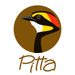 bird    pitta  head vector illustration 