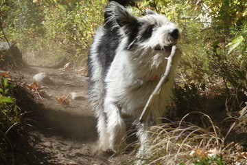 Landscapes of the Pacific Northwest, Washington State