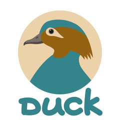 bird  duck  head vector illustration