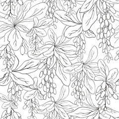 Hand drawn  seamless pattern with пкф barberry twigs on a white background. Beautiful floral design elements, perfect for prints and patterns