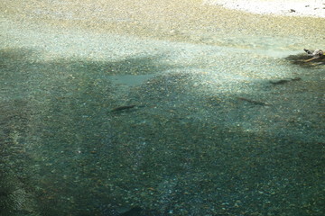 Landscapes of the Pacific Northwest, Washington State