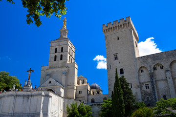 Fototapeta na wymiar The Palais des Papes in the city of Avignon in Provence, France