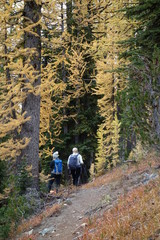 Landscapes of the Pacific Northwest, Washington State