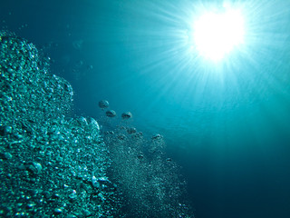 Fototapeta na wymiar Deep Air Diving