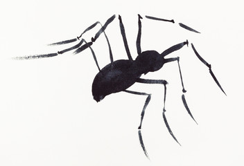 one spider drawn by black watercolors